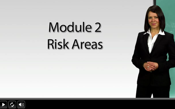 A smartly dressed woman presenting Module 2 - Risk Areas